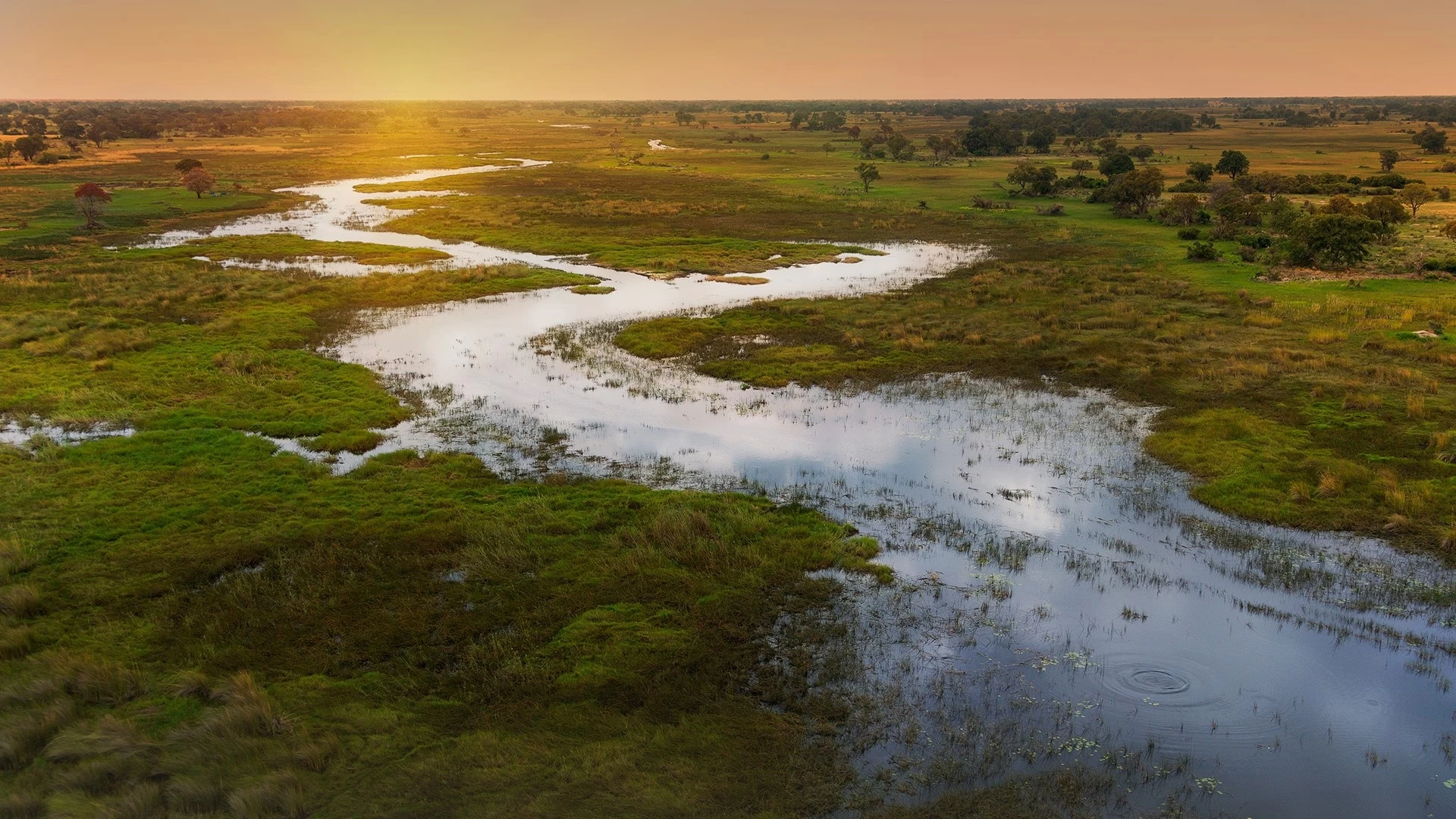 Your Full Travel Guide to Botswana