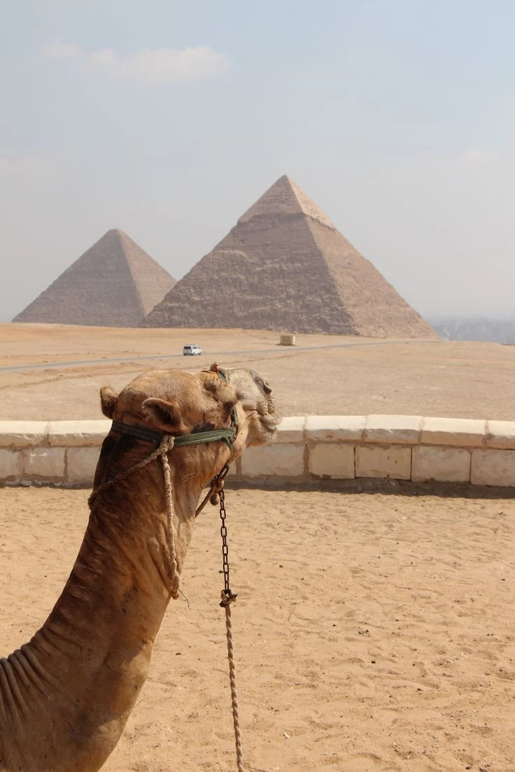 Luna di miele di 7 giorni al Cairo e Hurghad